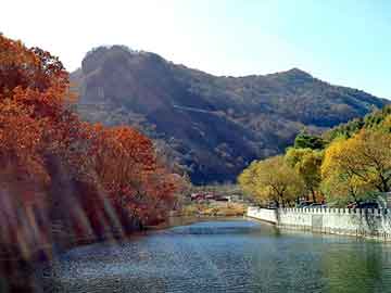 管家婆黑白马报图库，水姿泉肠道水疗仪